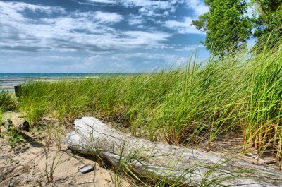 Along Lake Erie