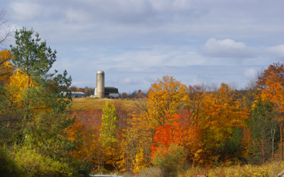 Local Farmland