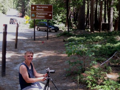 Tom photographing Piperia colemanii and P. transversa. Yosemite Nat'l Park, Ca. 7/21/09