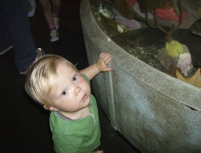 Charlie at the Aquarium