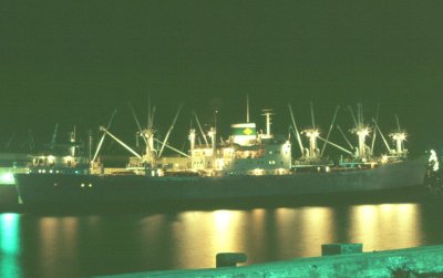 Nopal Rex_ Veracruz 1969.jpg