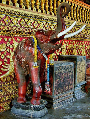 Lucky elephant