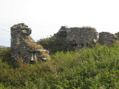 Ruin Of Famine House
