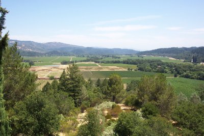 Sterling-View From Winery