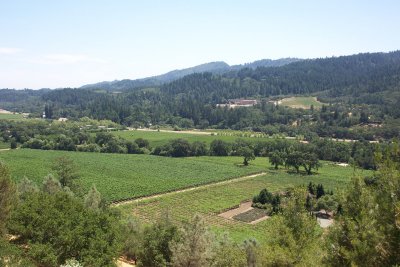 Sterling-View From Winery