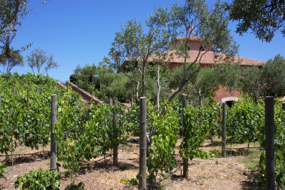2006-San Francisco & Napa
