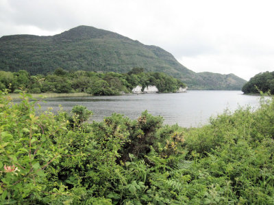 Lake Behind Muckross