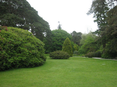 Muckross Gardens