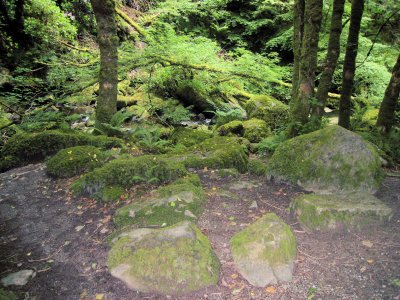 Torc Falls Path