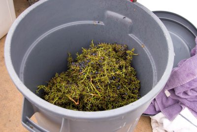 Waste output of grape crusher
