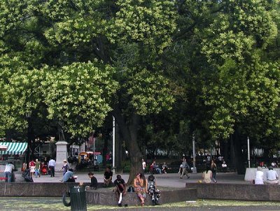 g5/09/415109/3/119097929.uF4rJMg4.jpg