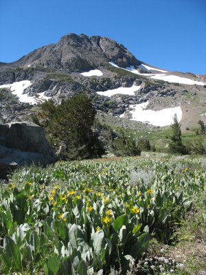 Winnemucca Hike: Mules Ears