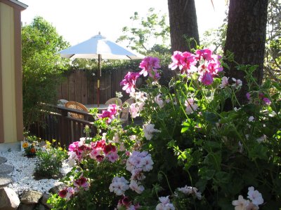 Garden flowers and deck, 2006