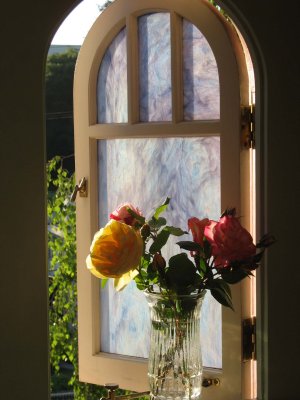 Roses in the window