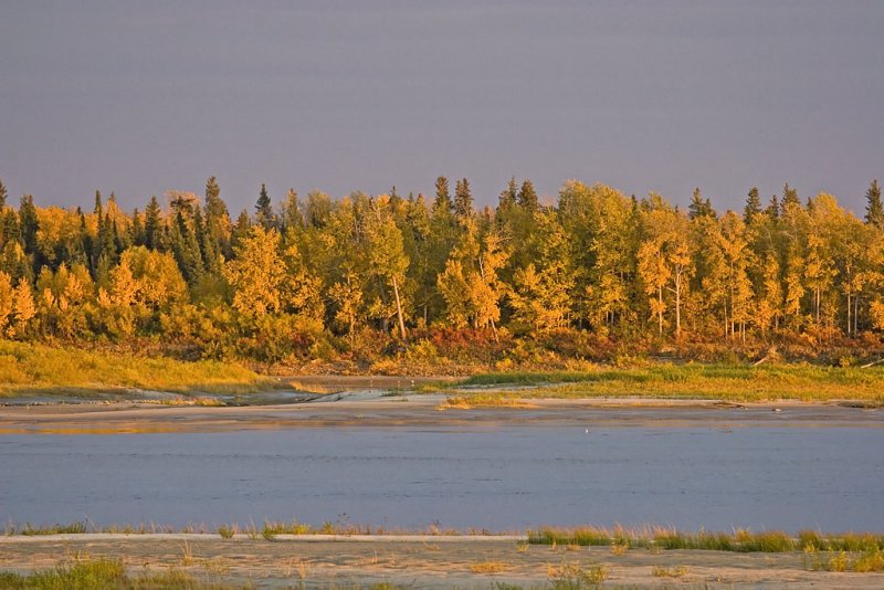 Fall foliage on Charles Island