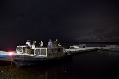 Public dock at night 2009 November 20