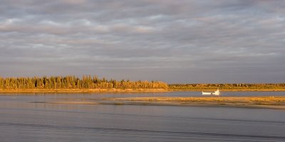 Barge near dusk