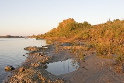 Moose river shoreline at sunrise