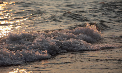 Frothy