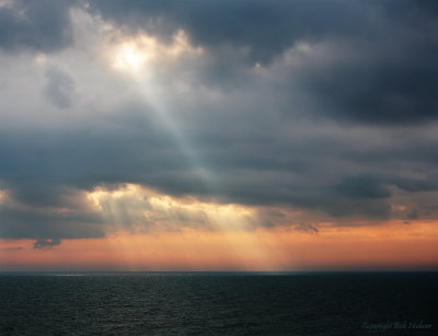Spotlight #2