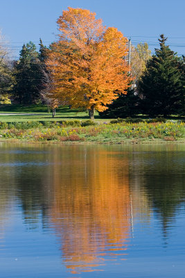 Columbia Lake, Waterloo
