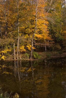 Waterloo County, October 9th