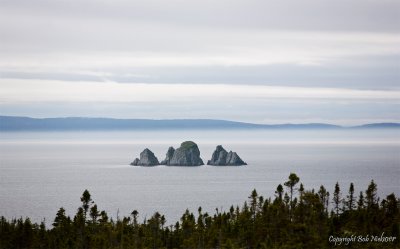 Newfoundland - June 22