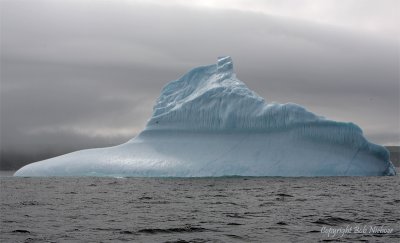 Iceberg in Witless bay, Newfoundland