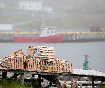 Ferryland fishing, Newfoundland
