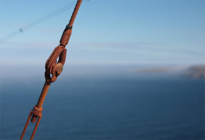 Taken from Signal Hill with Cape Spear in the background