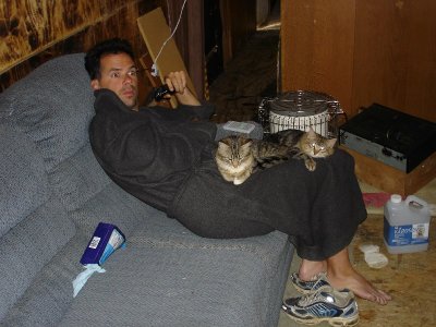 Me On Couch w/Tucson Kitties
