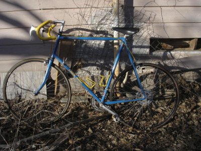 Bicycle I Got at Big Sandy, TX
