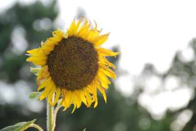 20080624_195101_nbs_d80.jpg
