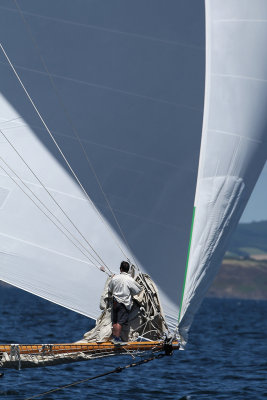 g5/09/515909/3/100975926.X9CFqfVf.jpg
