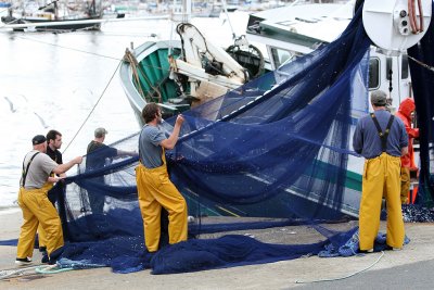 111 Douarnenez 2008 MK3_5870 DxO web.jpg