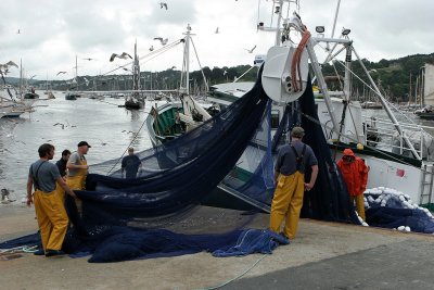 120 Douarnenez 2008 IMG_9492 DxO web.jpg