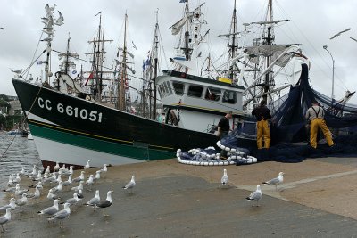 134 Douarnenez 2008 IMG_9506 DxO web.jpg