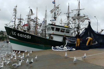 136 Douarnenez 2008 IMG_9508 DxO web.jpg