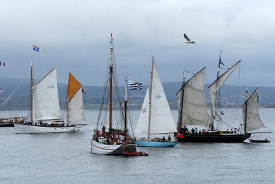 281 Douarnenez 2008 MK3_6012 DxO web.jpg