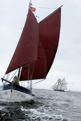 723 Douarnenez 2008 IMG_9673 DxO web.jpg