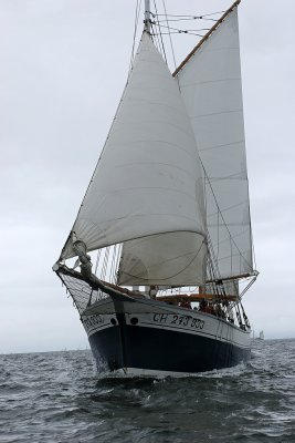 749 Douarnenez 2008 IMG_9686 DxO web.jpg