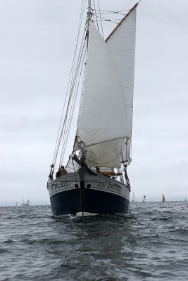 750 Douarnenez 2008 IMG_9687 DxO web.jpg