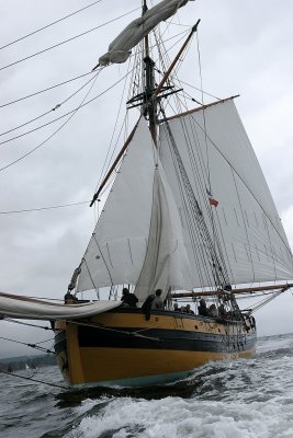 980 Douarnenez 2008 IMG_9825 DxO web.jpg