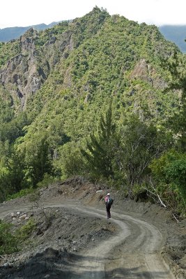 Dcouverte du cirque de Salazie - Sur le chemin de Grand Sable