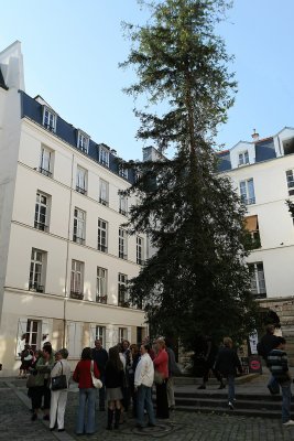 Visite du quartier du Marais  Paris