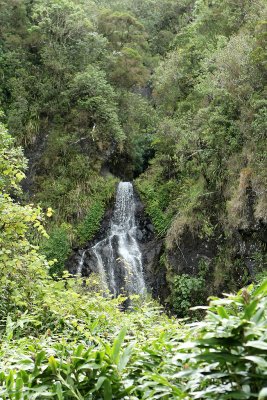 Cirque de Salazie - Sur le chemin des trois cascades au-dessus de Hell Bourg