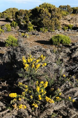 Le cirque de Mafate depuis le point de vue du Mado