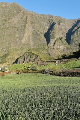 Dans le cirque de Cilaos
