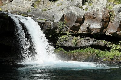 ile de la Runion - Le long de la rivire Langevin