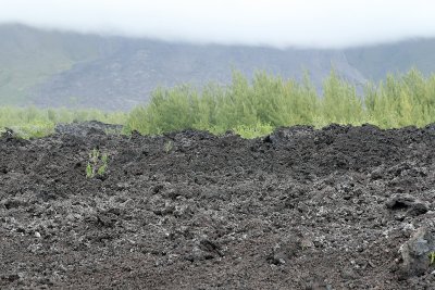Ile de la Réunion - Coulée de lave plus ancienne, sans doute de 2002